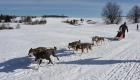 Activités : initiation au ski de fond, randonnée et initiation chiens de traineaux