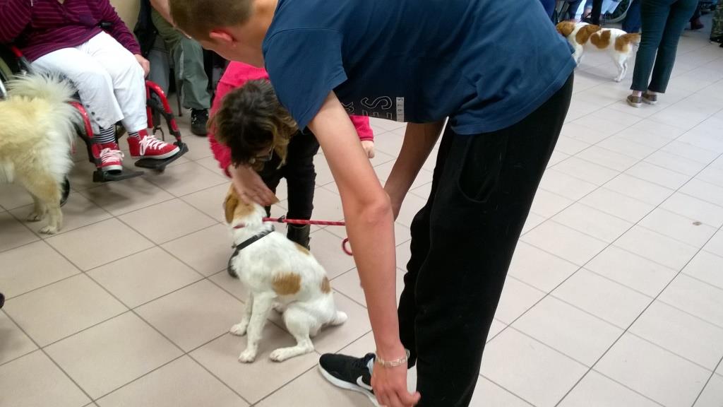 Activités médiation animale - MFR de Mortagne au Perche